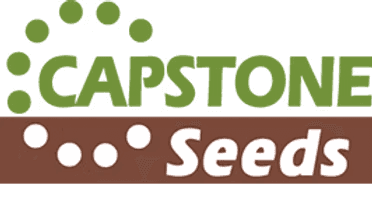 Capstone Seeds logo